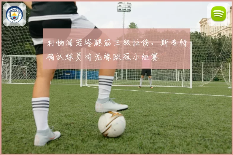 利物浦若塔腿筋三级拉伤，斯洛特确认球员将无缘欧冠小组赛